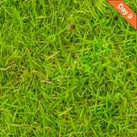 Preview for How to Turn a Texture into a Seamlessly Tiled Background